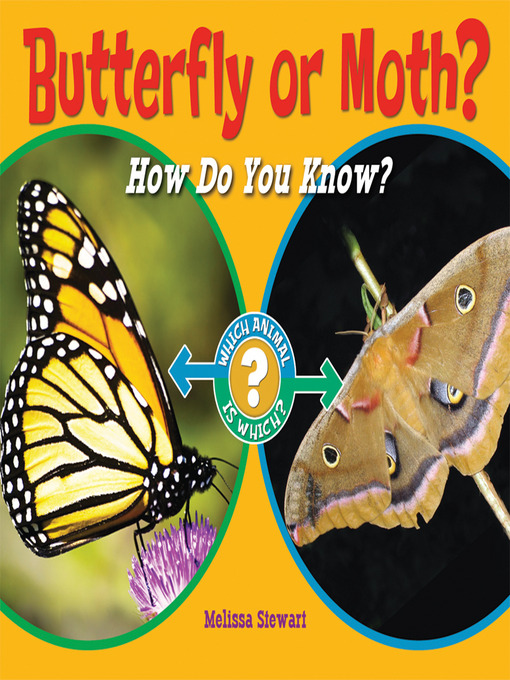 Title details for Butterfly or Moth? by Melissa Stewart - Wait list